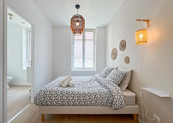 Apartment Elegance En Centre-ville - 336 Rouen